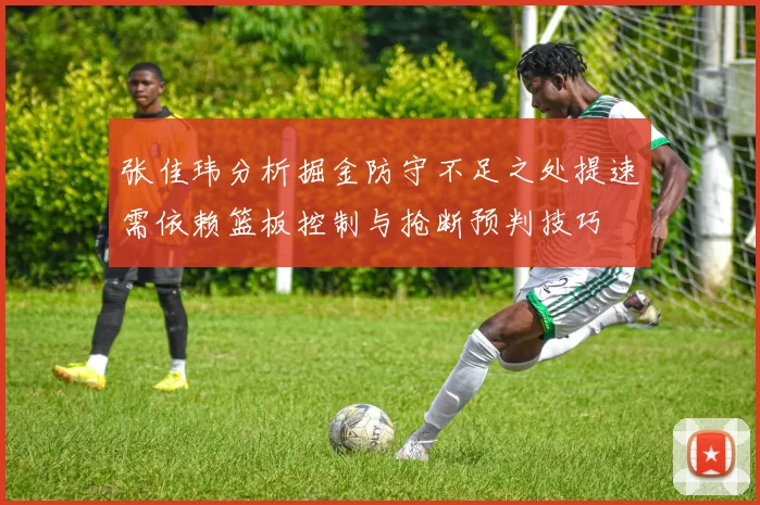 张佳玮分析掘金防守不足之处提速需依赖篮板控制与抢断预判技巧