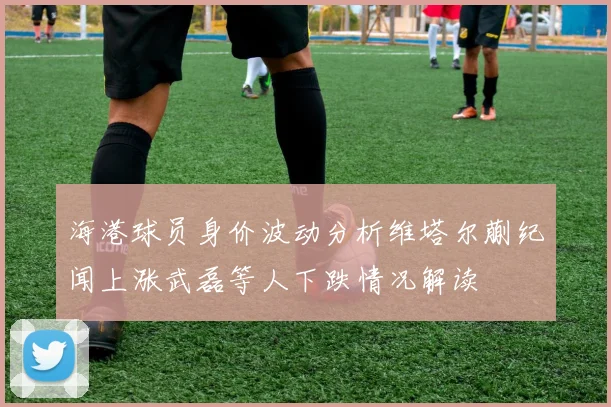 海港球员身价波动分析维塔尔蒯纪闻上涨武磊等人下跌情况解读