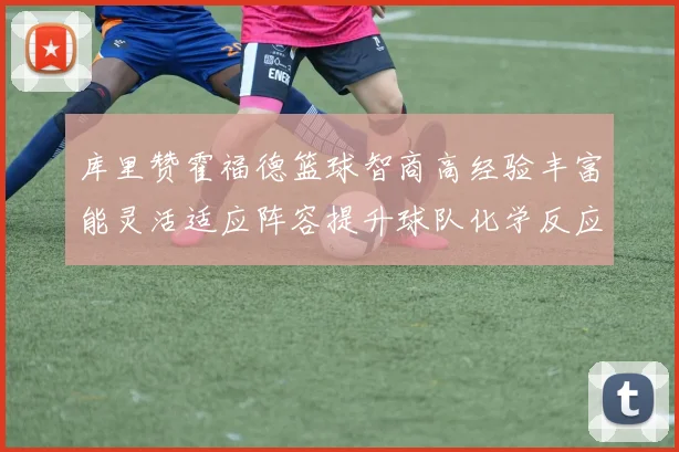 库里赞霍福德篮球智商高经验丰富能灵活适应阵容提升球队化学反应